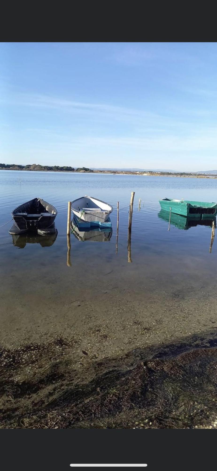 Studio Climatise Proche De Montpellier Et Des Plages 马格隆新城 外观 照片