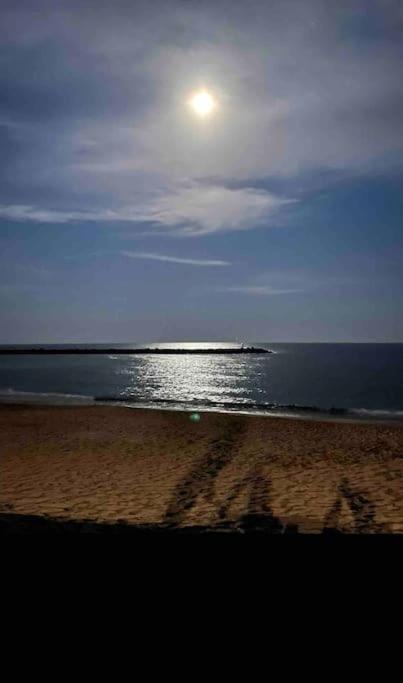 Studio Climatise Proche De Montpellier Et Des Plages 马格隆新城 外观 照片